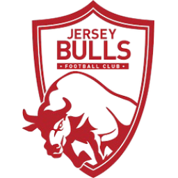 泽西公牛